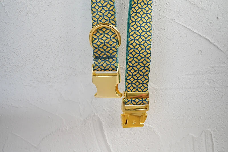 PLATTCO unique design dog collar print WEALTHY COINS pattern and high-quality gold buckle size 5 PDC305YG