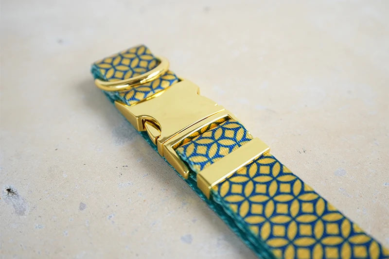 PLATTCO unique design dog collar print WEALTHY COINS pattern and high-quality gold buckle size 5 PDC305YG