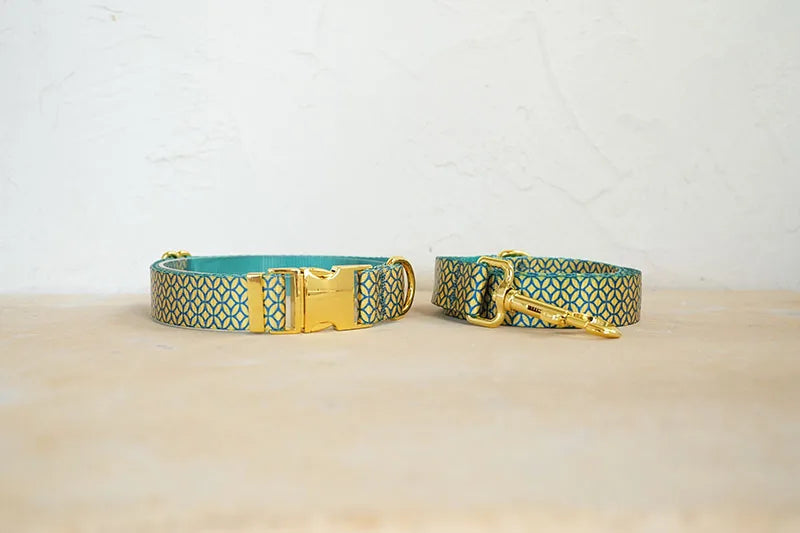 PLATTCO unique design dog collar print WEALTHY COINS pattern and high-quality gold buckle size 5 PDC305YG