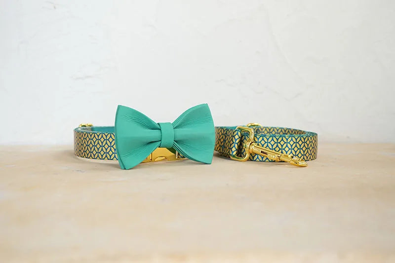 PLATTCO unique design dog collar print WEALTHY COINS pattern and high-quality gold buckle size 5 PDC305YG