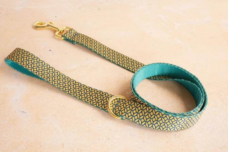 PLATTCO unique design dog collar print WEALTHY COINS pattern and high-quality gold buckle size 5 PDC305YG