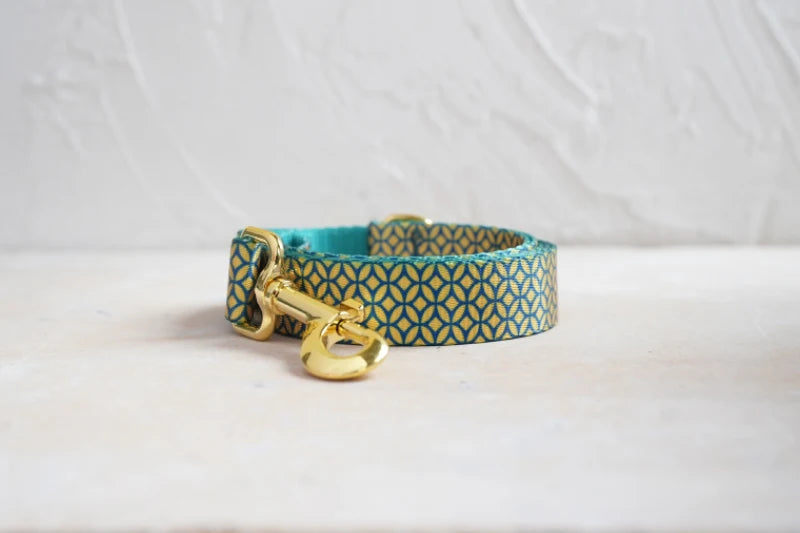 PLATTCO unique design dog collar print WEALTHY COINS pattern and high-quality gold buckle size 5 PDC305YG