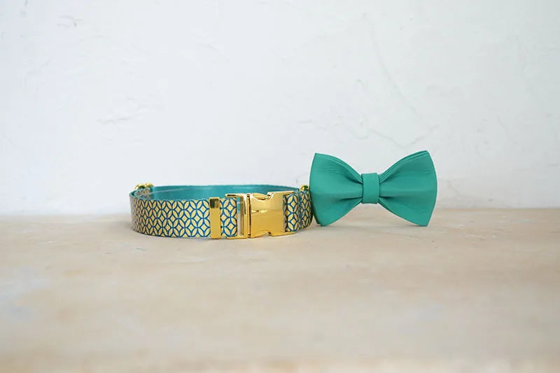 PLATTCO unique design dog collar print WEALTHY COINS pattern and high-quality gold buckle size 5 PDC305YG
