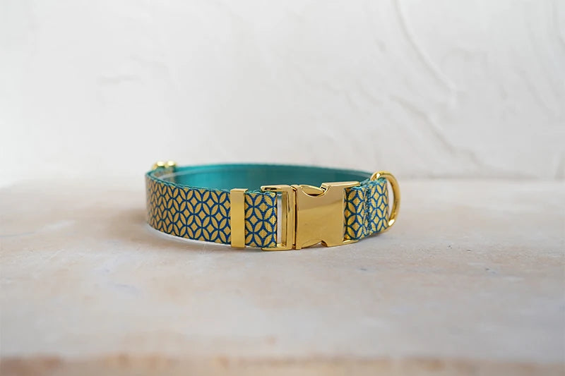 PLATTCO unique design dog collar print WEALTHY COINS pattern and high-quality gold buckle size 5 PDC305YG