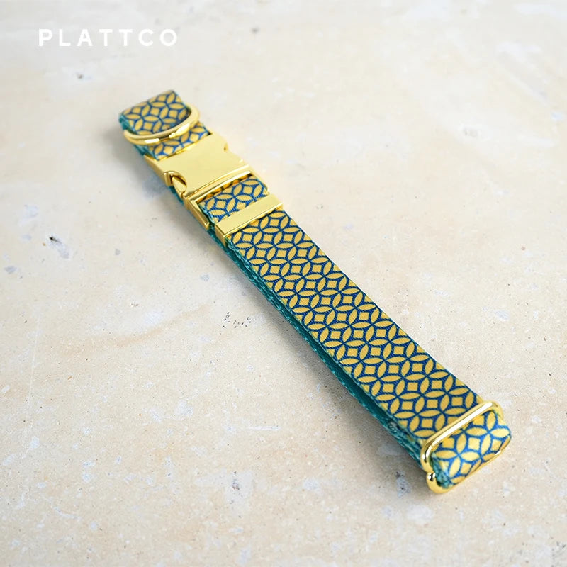 PLATTCO unique design dog collar print WEALTHY COINS pattern and high-quality gold buckle size 5 PDC305YG