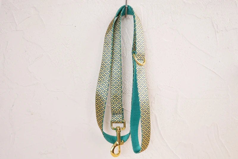 PLATTCO unique design dog collar print WEALTHY COINS pattern and high-quality gold buckle size 5 PDC305YG